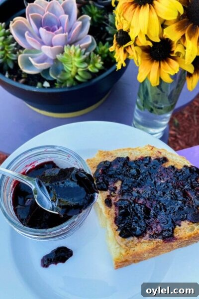 How to Tell When Grapes Are Ready to Harvest 4 Grape Jelly