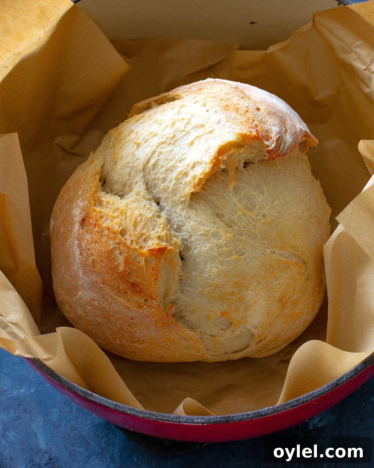 Artisan Bread Recipes for Rustic Sourdough and Crusty Loaves 3 artisan bread