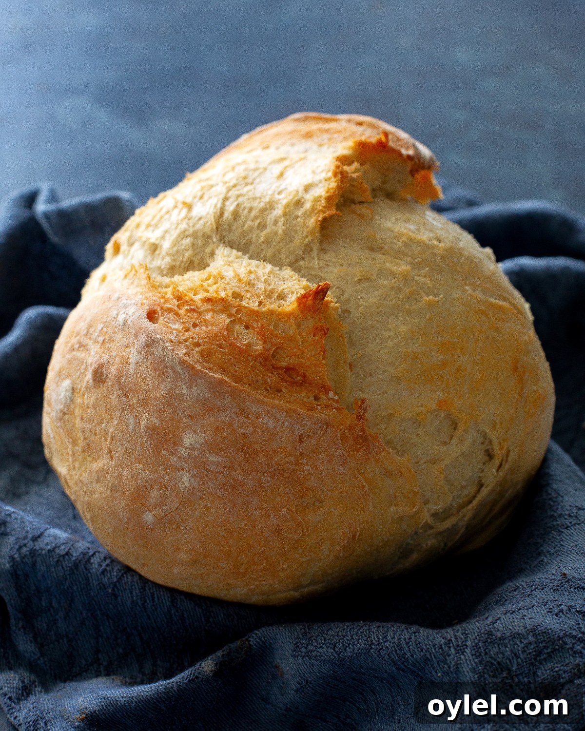 Artisan Bread Recipes for Rustic Sourdough and Crusty Loaves 5 artisan bread