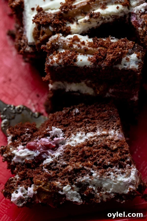 Authentic Ukrainian Chocolate Cherry Cake Recipe 2 Chocolate cherry cake with whipped cream frosting
