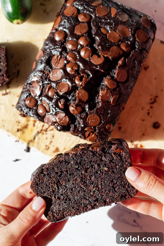 Double Chocolate Zucchini Bread