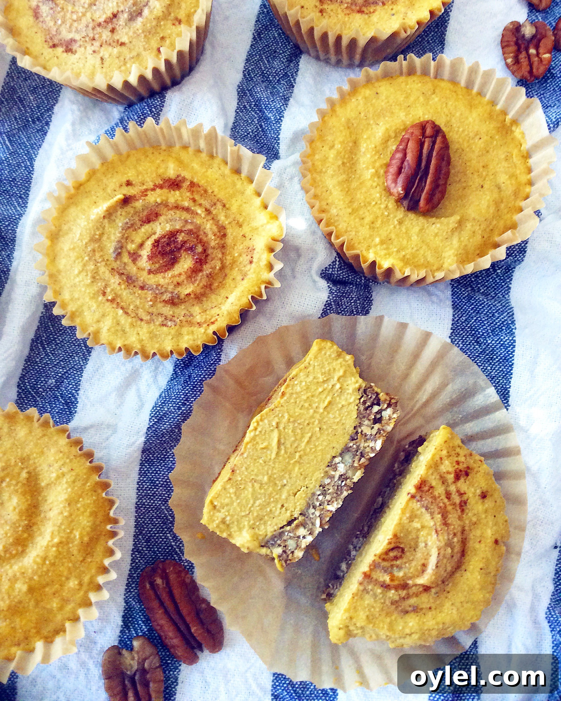 Mini No-Bake Pumpkin Cheesecakes (Vegan)