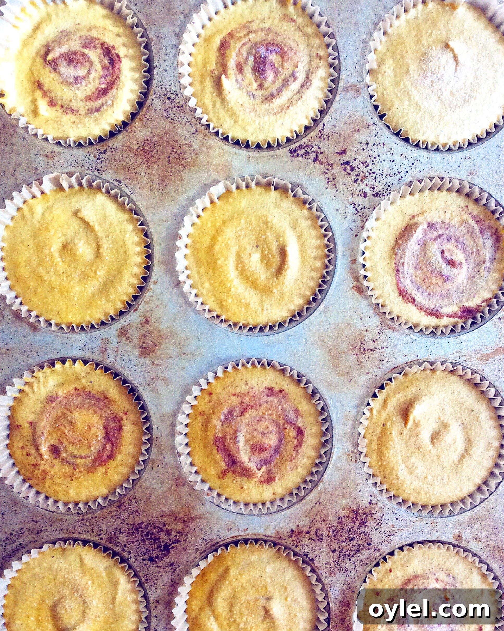 Mini No-Bake Pumpkin Cheesecakes