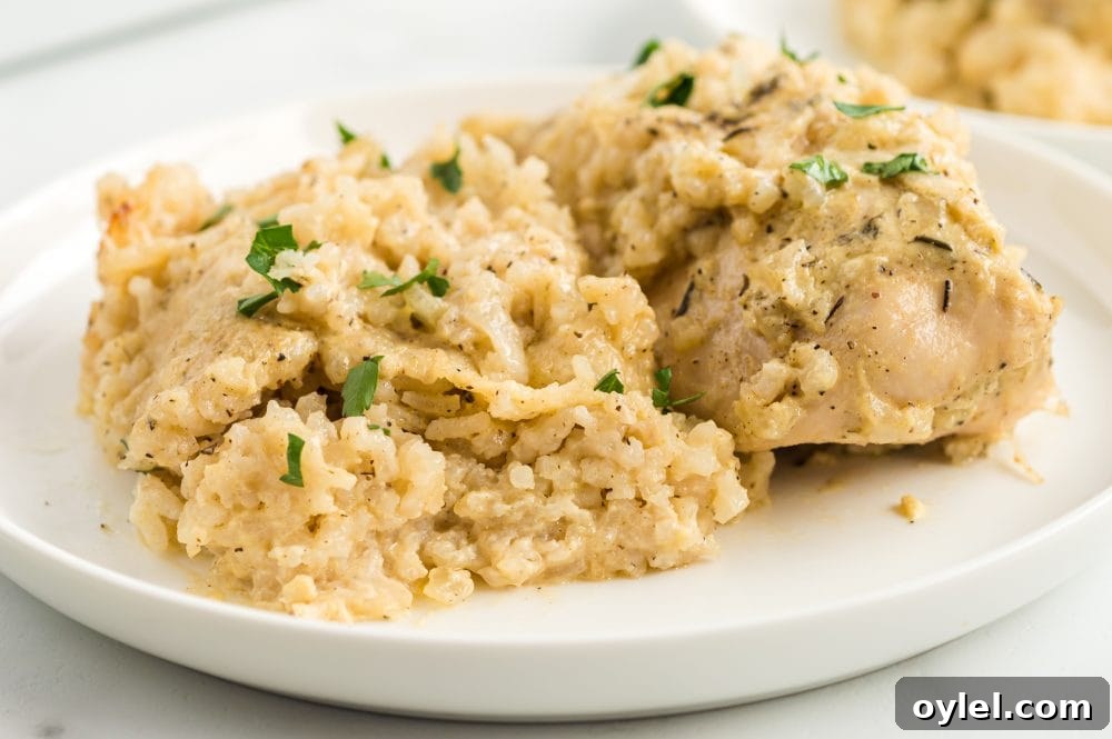 chicken with rice and parsley on it