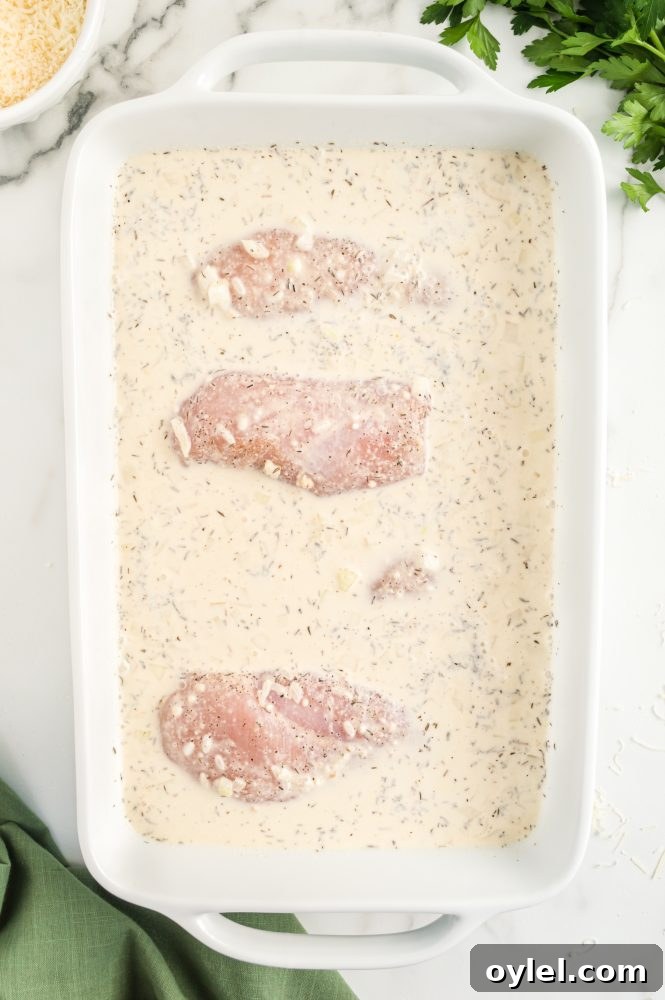 chicken breasts with rice sauce poured over it