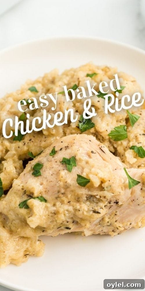 chicken with rice and parsley on it