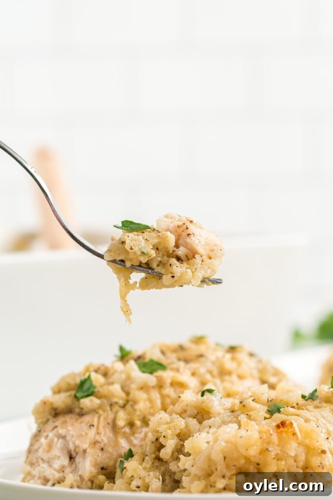 chicken with rice and parsley on it