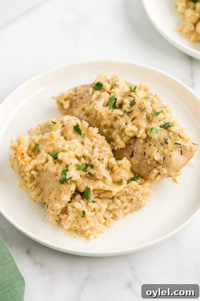 chicken with rice and parsley on it