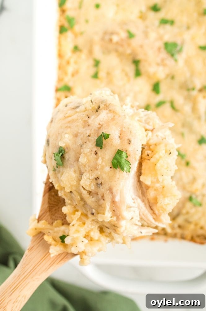 chicken with rice and parsley on it