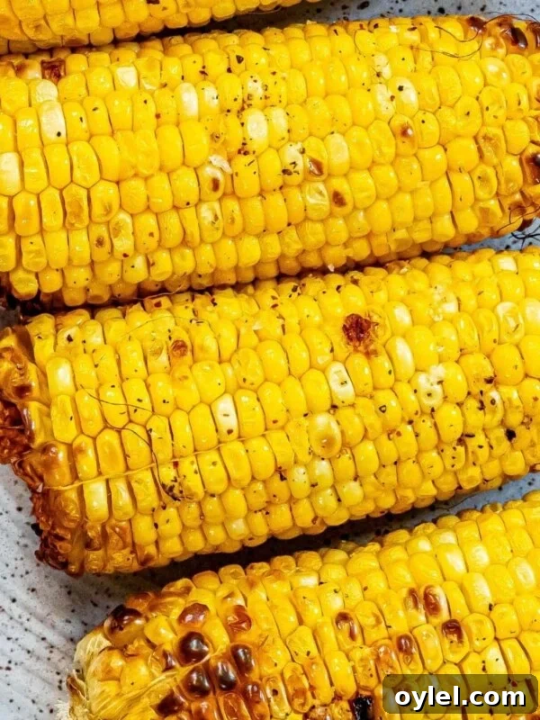 picture of grilled corn on the cob on a plate
