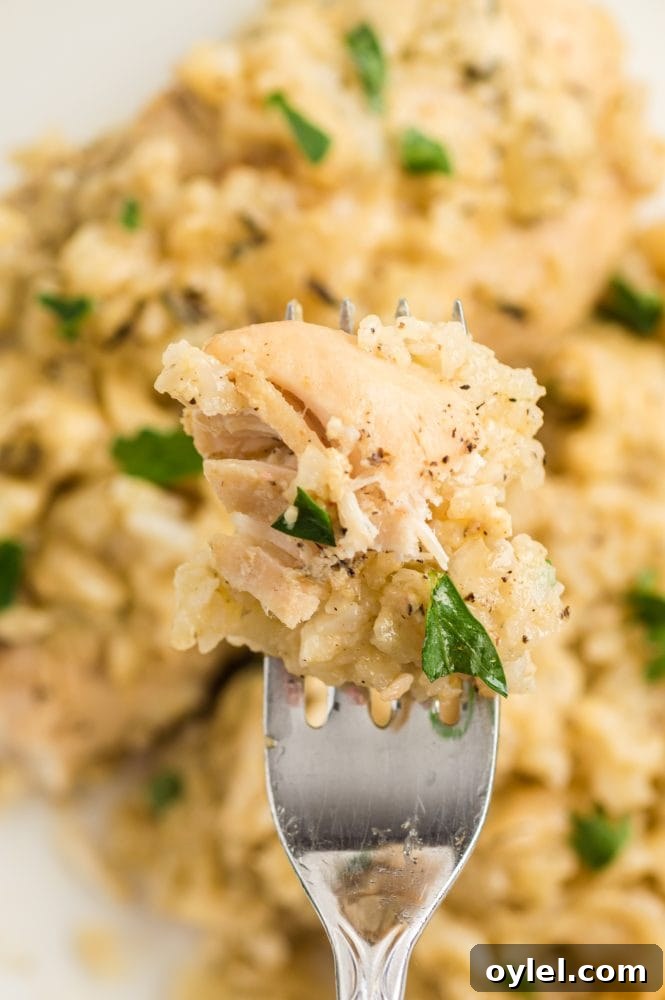 chicken with rice and parsley on it