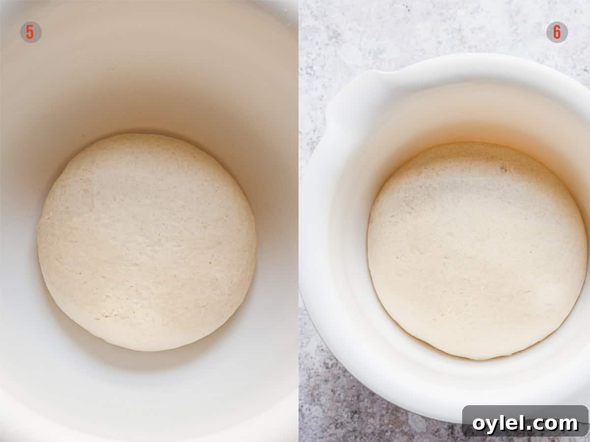 Quick Pizza Dough Recipe for Crispy Homemade Crust 6 pizza dough before and after rising.