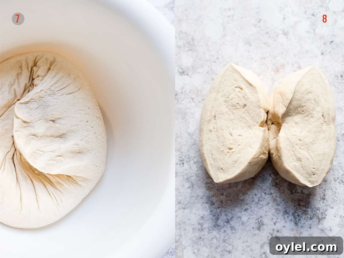 Quick Pizza Dough Recipe for Crispy Homemade Crust 7 pizza dough in a bowl before being rolled out.