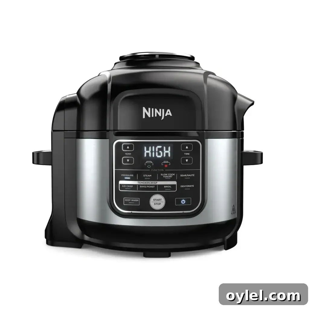 Ninja Foodi Grill