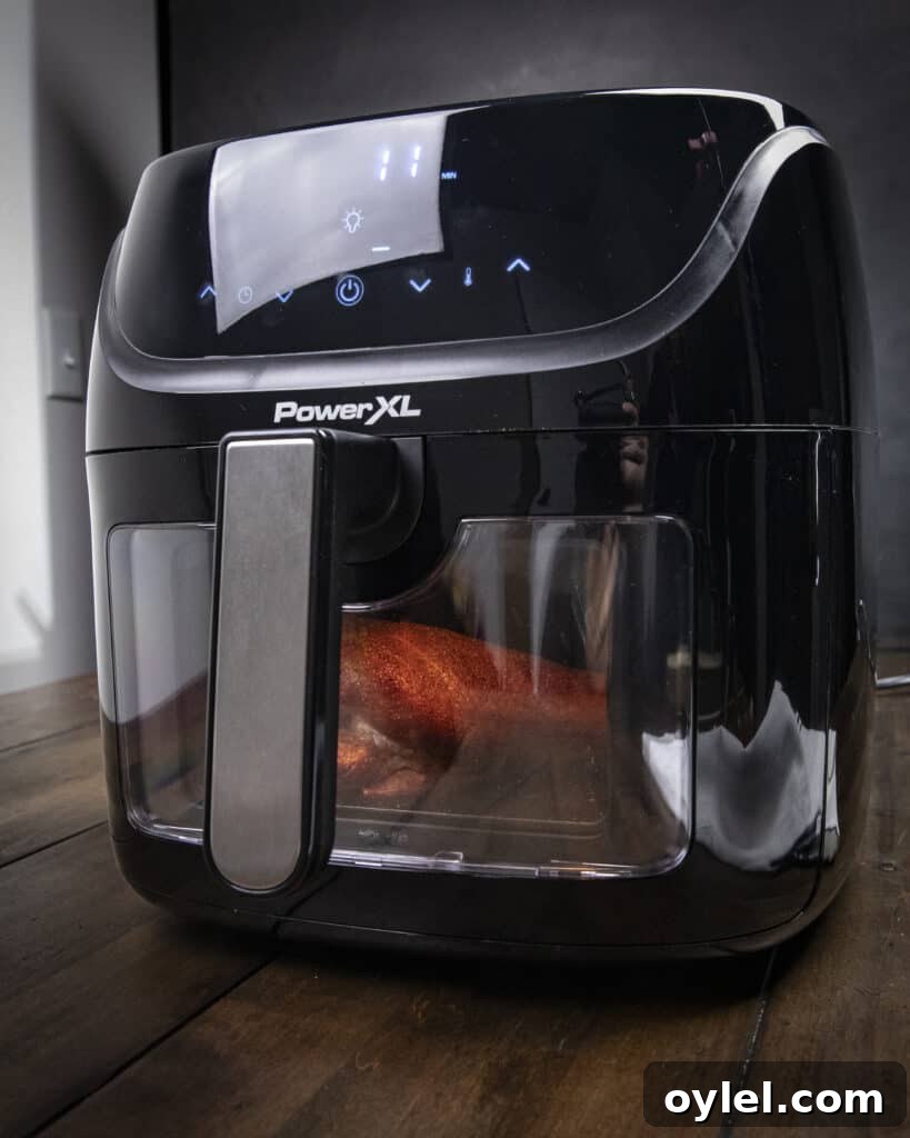 Air fryer basket with crispy fries