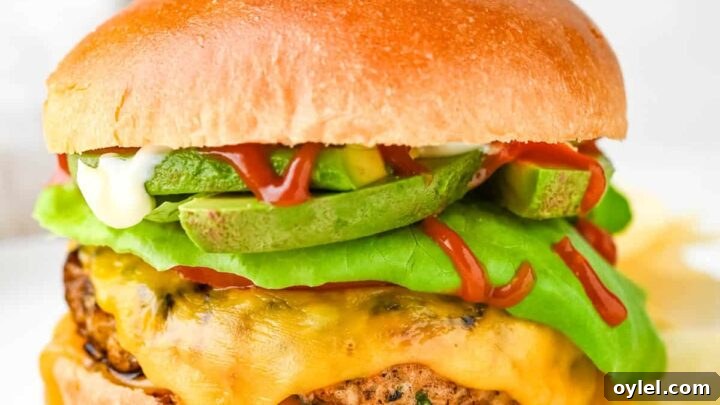 Grilling Recipes for Every Occasion: Weeknights to Holidays 13 Image for Ground Chicken Burgers