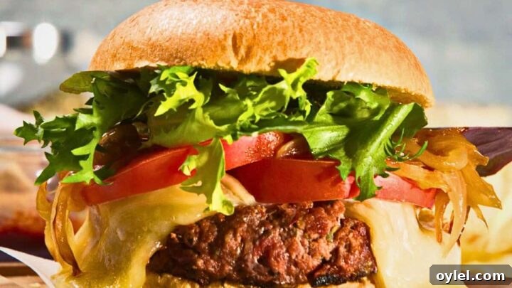 Grilling Recipes for Every Occasion: Weeknights to Holidays 14 Image for Bison Burgers