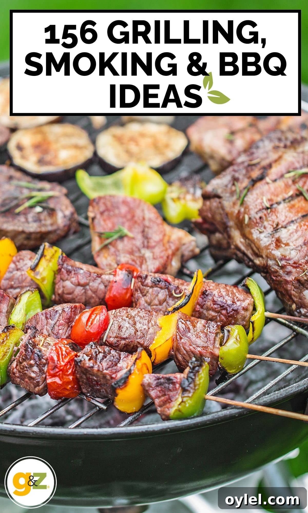 Grilling Recipes for Every Occasion: Weeknights to Holidays 37 A Pinterest Pin for later.