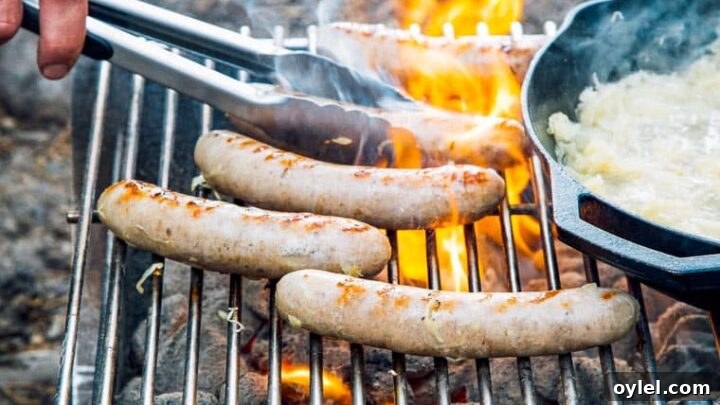 Grilling Recipes for Every Occasion: Weeknights to Holidays 17 Image for Grilled Beer Brats
