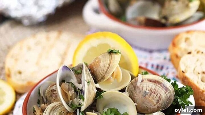 Grilling Recipes for Every Occasion: Weeknights to Holidays 28 Image for Grilled Clams with Garlic Parmesan Basil Butter