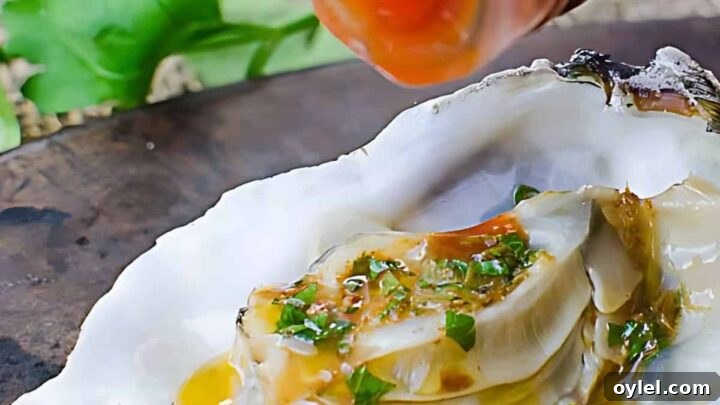 Grilling Recipes for Every Occasion: Weeknights to Holidays 30 Mardi Gras grilled oysters with hot sauce.