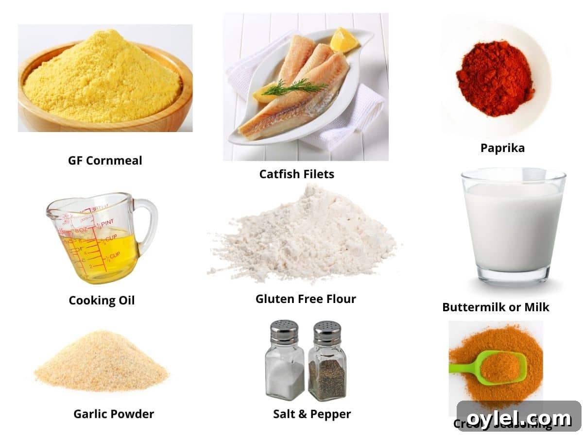 Photos of the air fryer catfish ingredients.