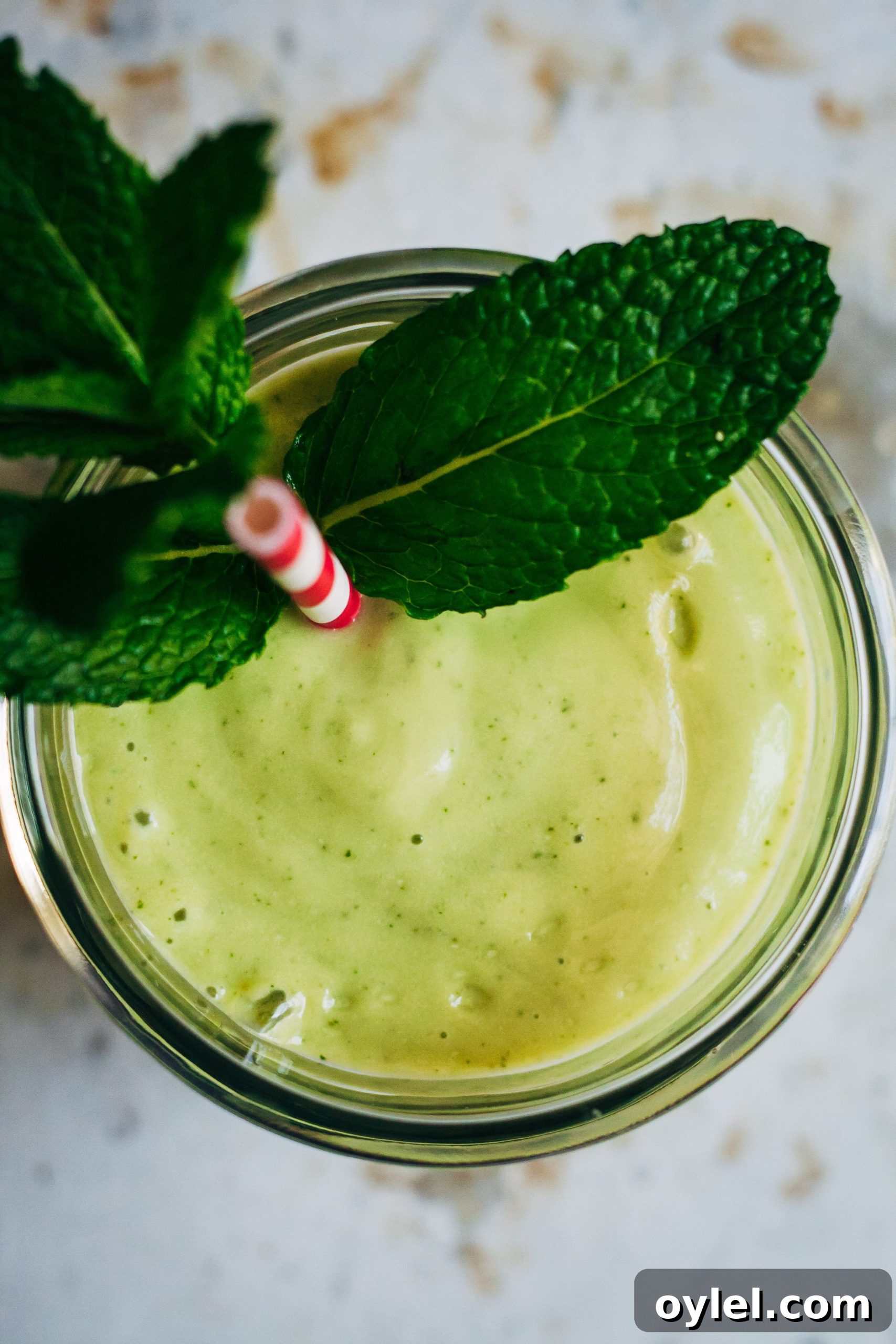 Healthy Green Shamrock Shake | Well and Full | #raw #vegan #recipe