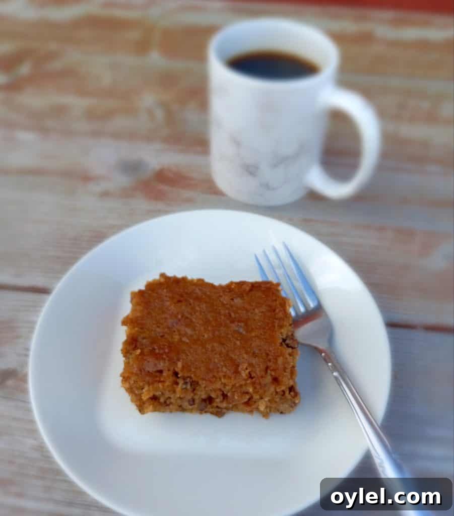 Homestyle Amish Applesauce Cake Recipe 3 a slice of applesauce cake with a cup of coffee.