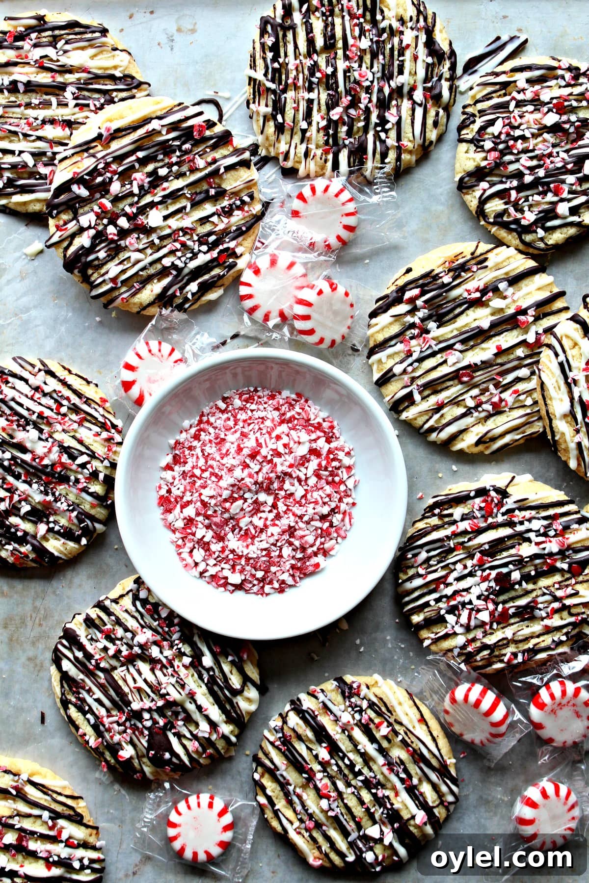 Peppermint Crunch Cookies Recipe with Chocolate Drizzle 2 Peppermint Crunch Cookies with zigzags of chocolate and sprinkled with crushed peppermint candy.