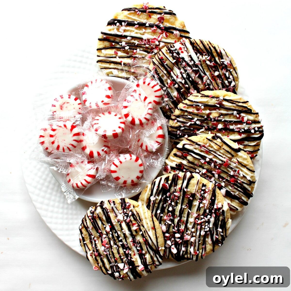 Peppermint Crunch Cookies Recipe with Chocolate Drizzle 5 Cookies decorated with chocolate drizzles and candy bits on a white plate.