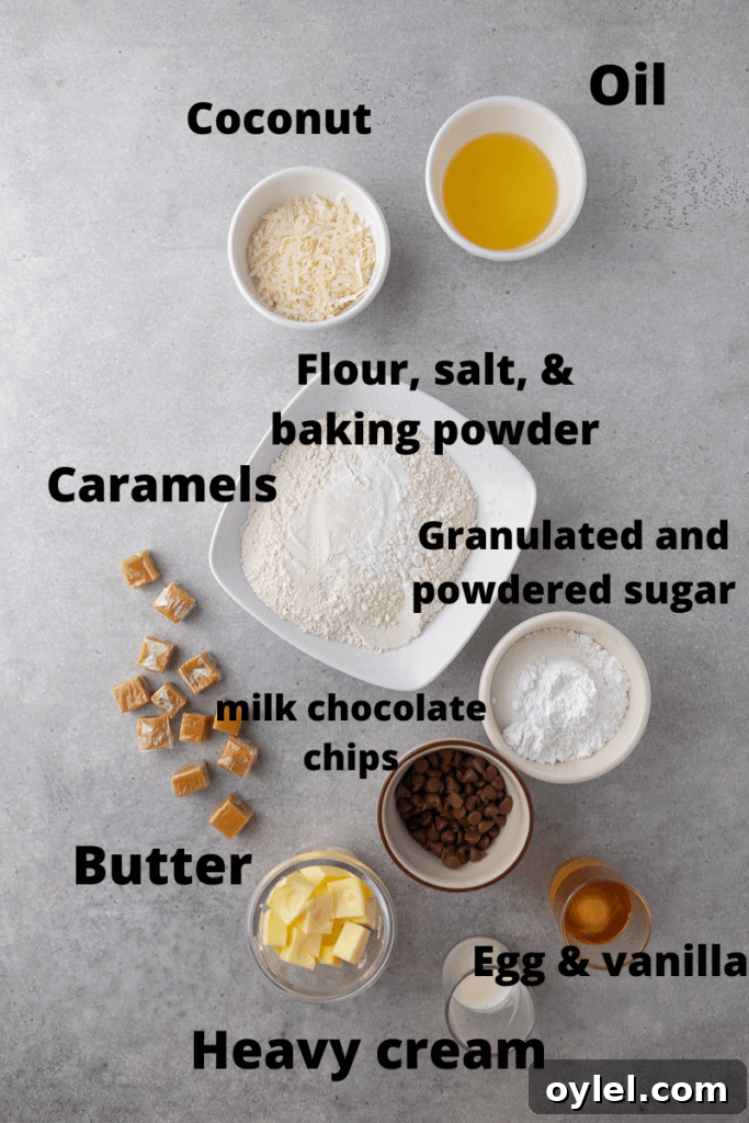 Ingredient for caramel coconut fudge cookies