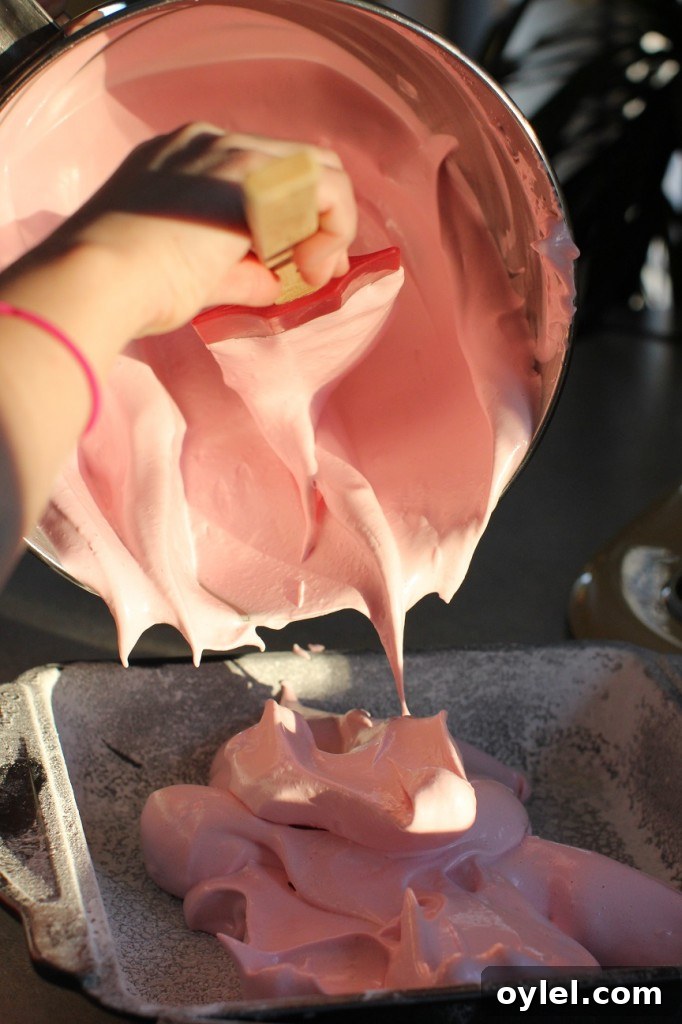 cooking with kids, raspberry marshmallows