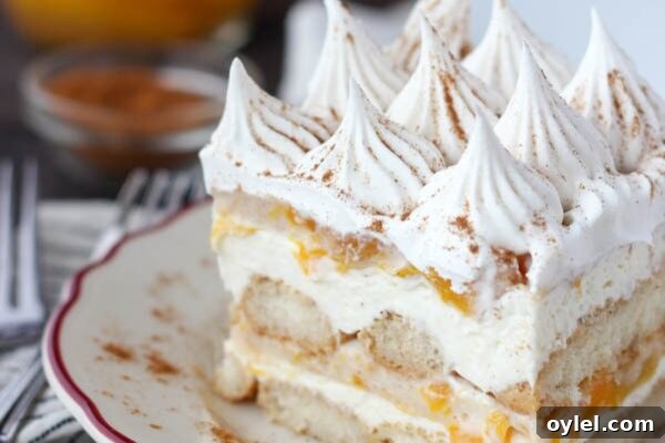 Peach Icebox Cake with mascarpone mousse and peach filling