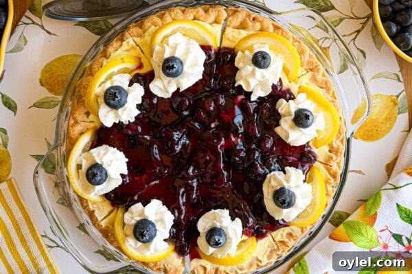 Lemon Blueberry Cheesecake Pie with blueberry and lemon fillings