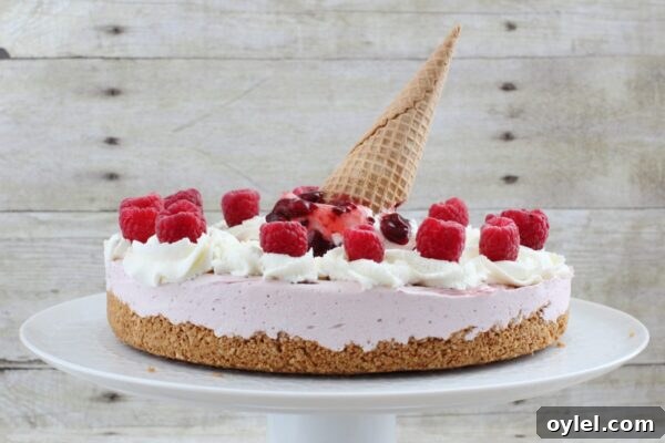 Raspberry Ice Cream Pie with crushed cone crust and raspberry swirl