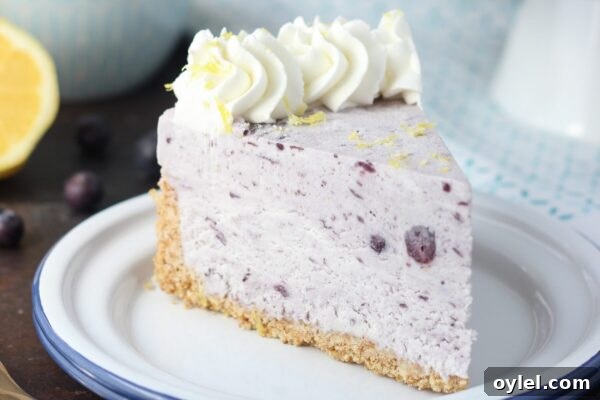Blueberry Ice Cream Pie topped with whipped cream and lemon zest