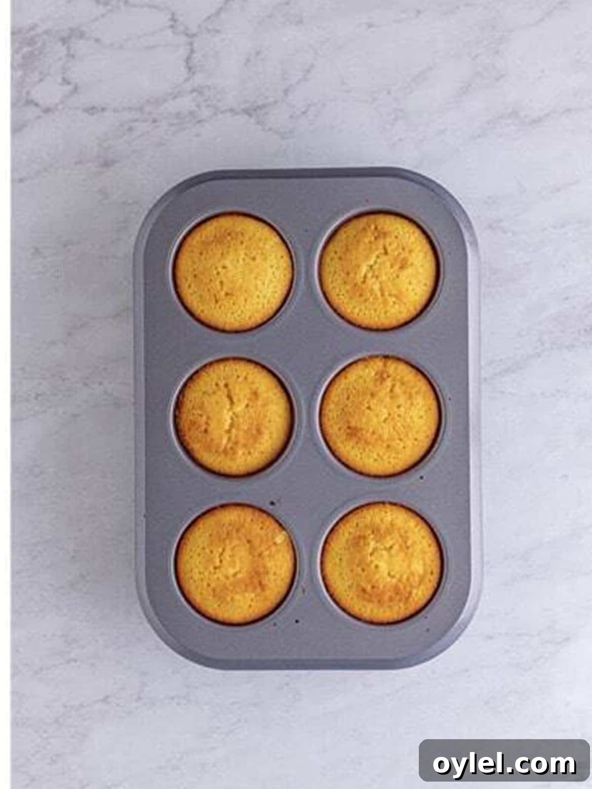 Golden baked Pineapple Upside Down Cupcakes in the muffin tin.