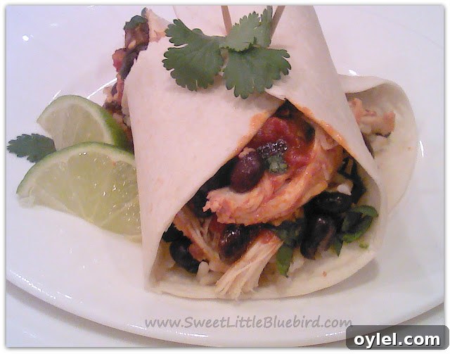Cilantro Lime Chicken Wrap