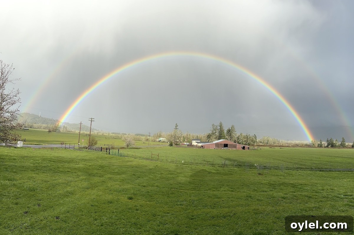 full rainbow over pasture and barn