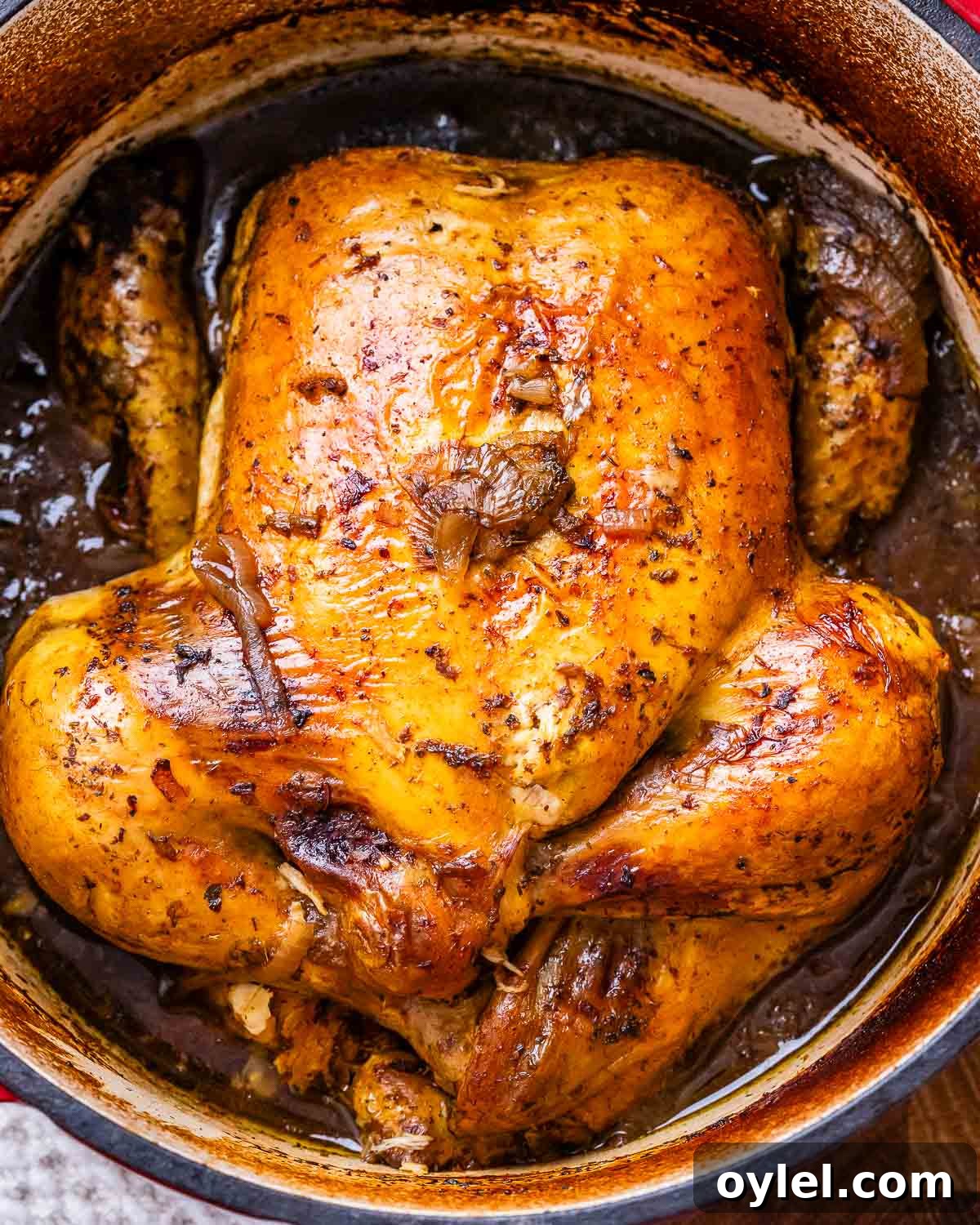 Balsamic Chicken with Caramelized Onions and Garlic 2 Image of a roasted balsamic chicken in a deep pan filled with brown liquid.