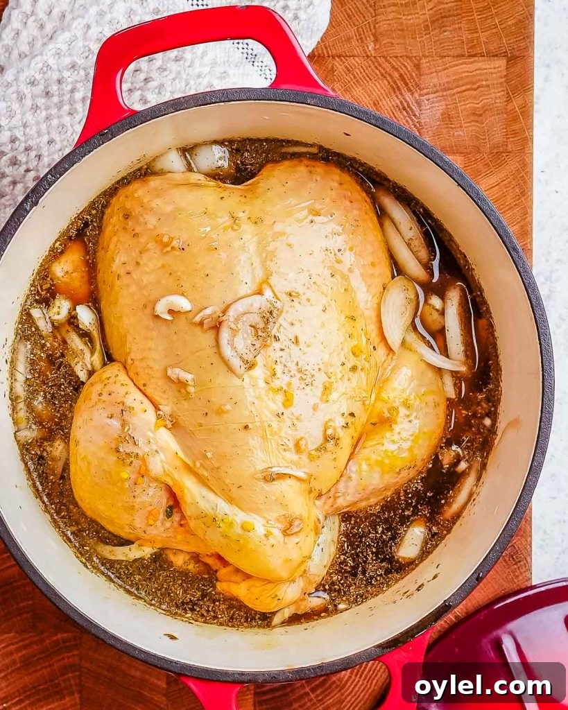 Balsamic Chicken with Caramelized Onions and Garlic 6 A whole chicken in a cast iron Dutch oven along with balsamic vinegar, seasonings, bone broth, and rosemary sprigs.