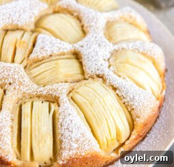 German apple cake topped with a dusting of powdered sugar.