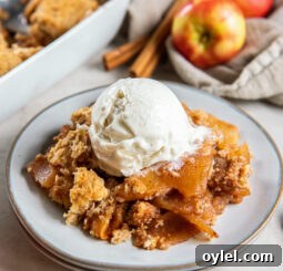 serving of apple cobbler on a plate with a scoop of vanilla ice cream.