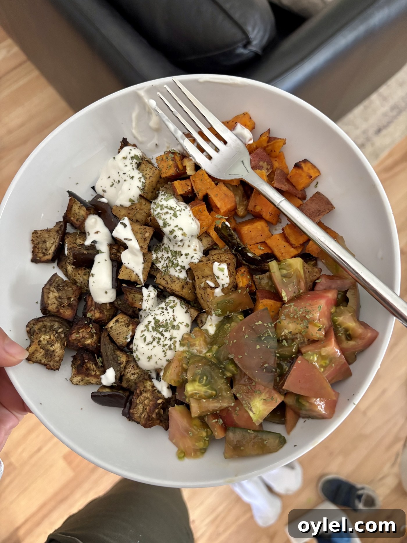 lunch bowl
