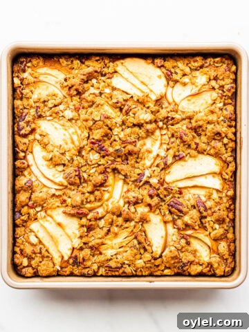 An apple cake baked in a square baking pan.