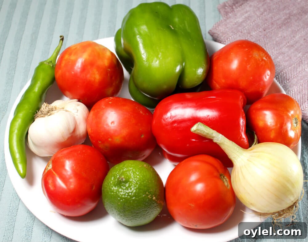 Low-Carb Fresh Tomato Salsa2