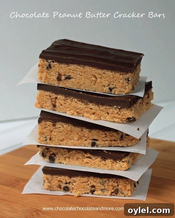 50 No-Bake Dessert Recipes 11 50 No Bake Treats: Chocolate Peanut Butter Cracker Bars