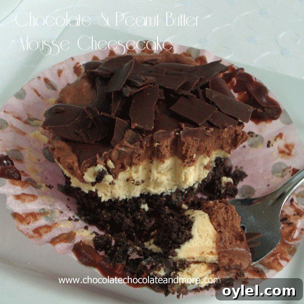 50 No-Bake Dessert Recipes 12 50 No Bake Treats: Chocolate & Peanut Butter Mousse Cheesecake