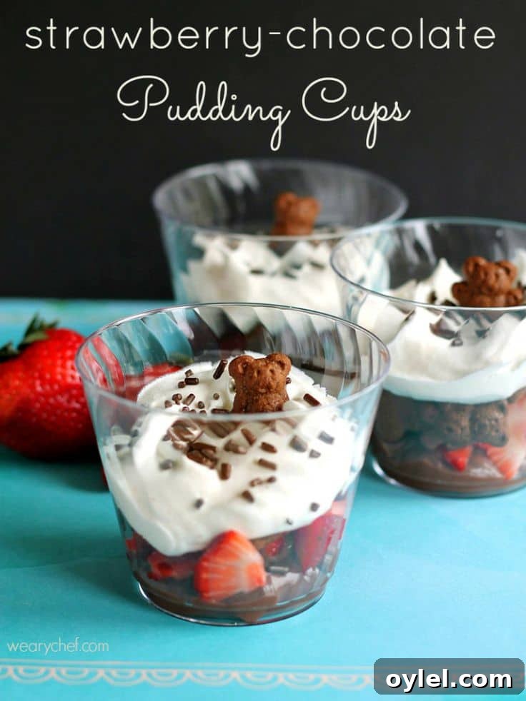 50 No-Bake Dessert Recipes 13 50 No Bake Treats: Chocolate-Covered Strawberry Pudding Cups