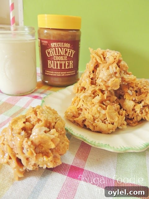 50 No-Bake Dessert Recipes 15 50 No Bake Treats: Cookie Butter Coconut Haystack Cookies